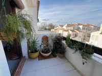 Winter Rental in Torrevieja