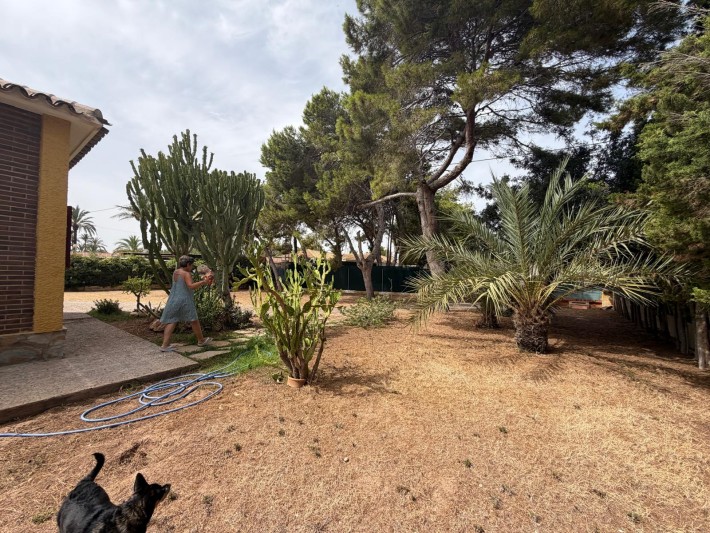 Villa with large frontline plot in Cabo Roig with stunning panoramic seaviews and great potential Villa with large frontline plot in Cabo Roig with stunning panoramic seaviews and great potential