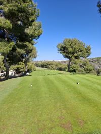 Luxury duplex penthouse with great views in Las Ramblas
