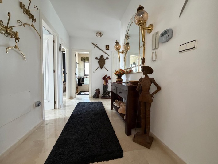 Luxury duplex penthouse with great views in Las Ramblas Luxury duplex penthouse with great views in Las Ramblas