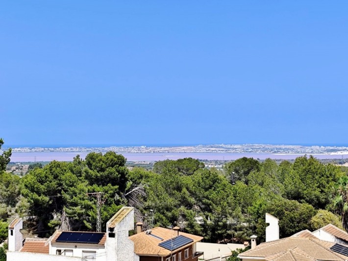 Large detached villa with private pool in San Miguel de Salinas