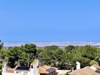 Large detached villa with private pool in San Miguel de Salinas