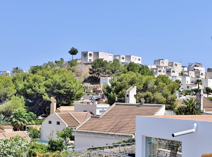 Large detached villa with private pool in San Miguel de Salinas