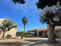 Luxury Finca in San Miguel de Salinas