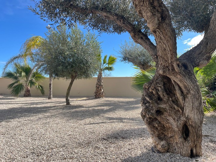Luxury Finca in San Miguel de Salinas Luxury Finca in San Miguel de Salinas