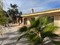 Luxury Finca in San Miguel de Salinas